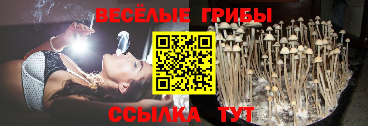 Галлюциногенные грибы ЛСД Кумертау